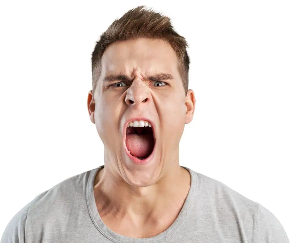 העלבת עובד ציבור והשלכותיה - עו"ד פלילי אלון ארז